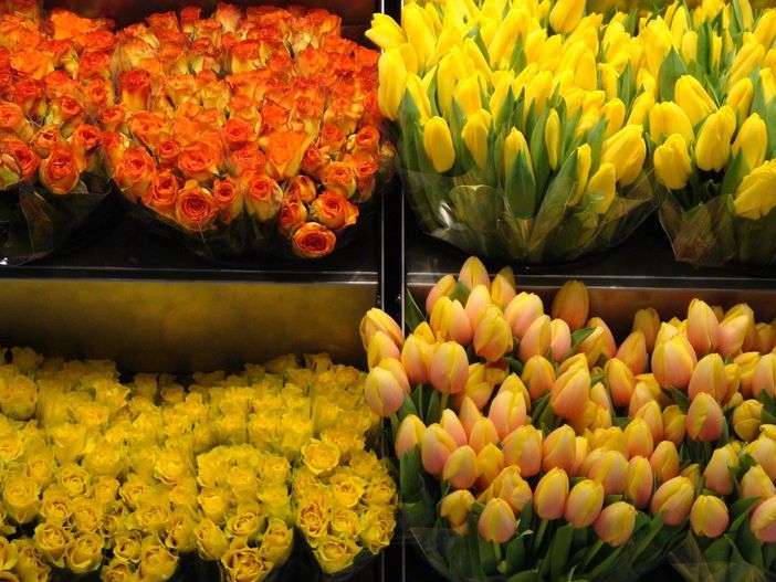 Espositori promozionali: ecco le soluzioni più gettonate tra imprese e attività commerciali