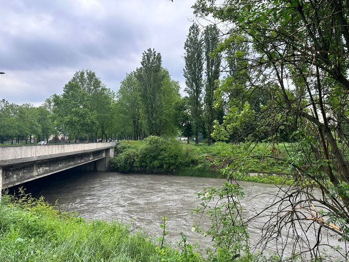 dora alla pellerina dora alla pellerina