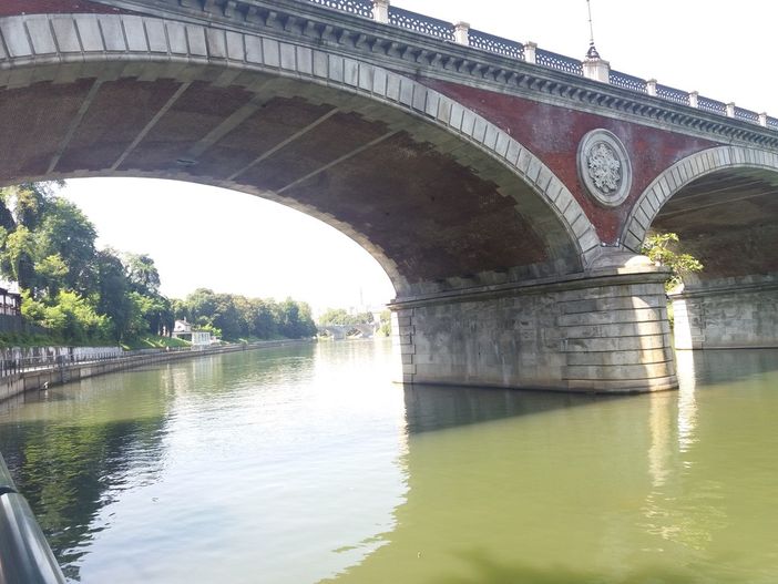 Calma piatta lungo il Po: spariti i tronchi spunta un canottiere solitario (FOTO)