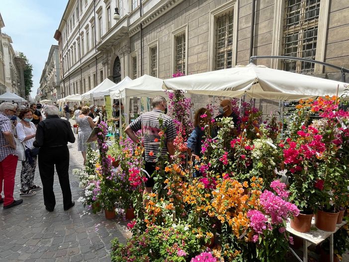 Flor incanta e colora Torino, chiusa l'edizione primaverile: appuntamento a ottobre alla Palazzina di Caccia di Stupinigi
