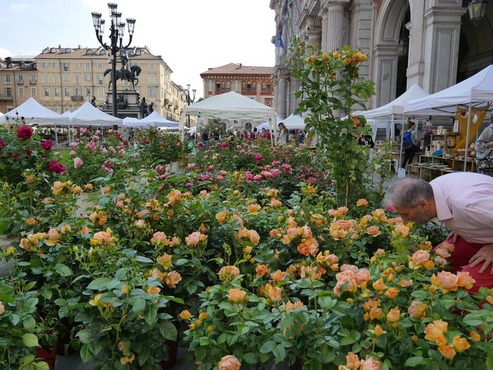 Torino riabbraccia la natura, nel weekend in via Roma torna Flor20
