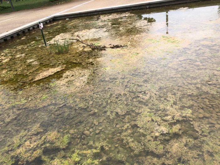 fontana con sporcizia e degrado