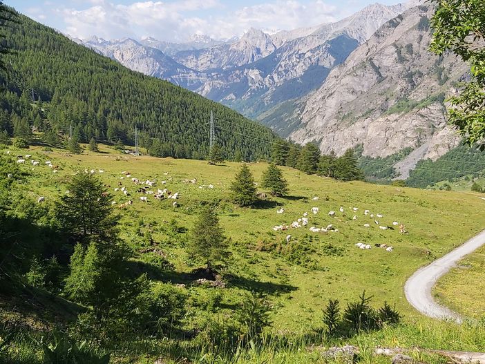Bardonecchia, riapre la Decauville