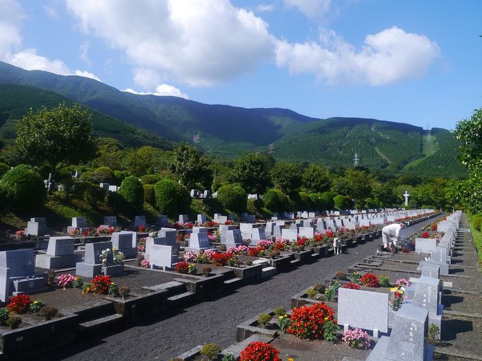 Funerale con cremazione: quanto costa e a chi rivolgersi