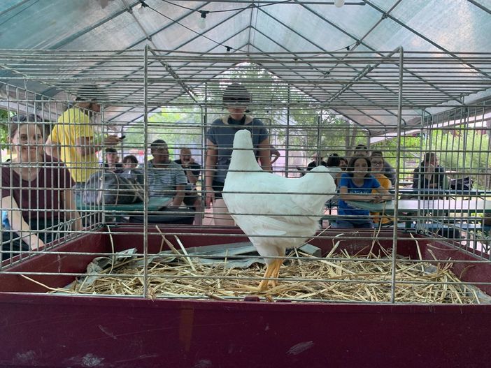 La prima edizione di SeminArt si chiude agli Orti Generali con "Il racconto dell'orto"