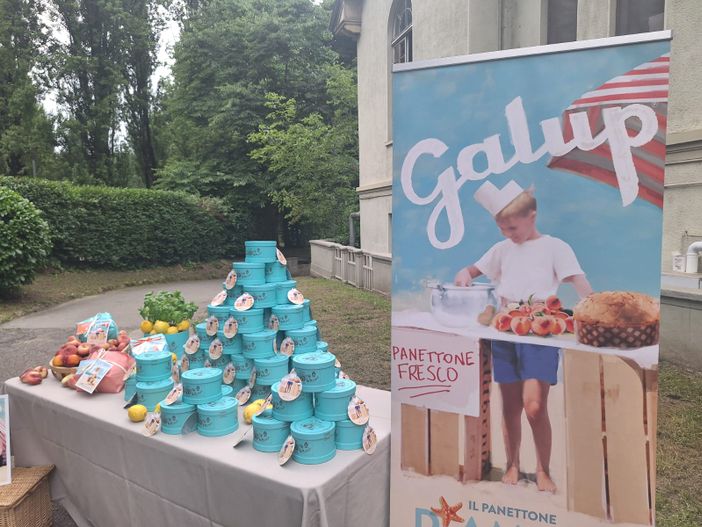 Viaggio alla scoperta del panettone Galup, orgoglio piemontese e nazionale Viaggio alla scoperta del panettone Galup, orgoglio piemontese e nazionale