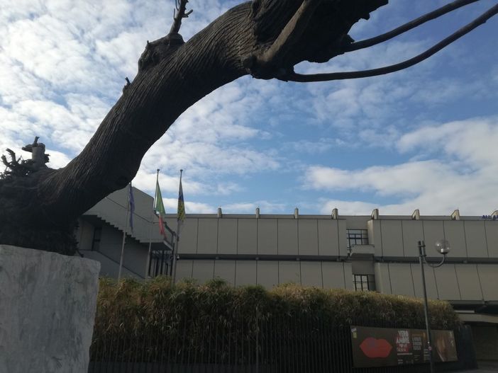 La parola del docente: "Vengo da Genova per studiare qui, la chiusura della biblioteca della Gam mi addolora"