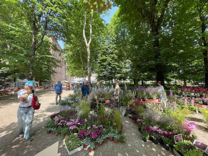 Flor Primavera torna ai Giardini Reali di Torino e alla Cavallerizza Reale: oltre 100 vivaisti in esposizione