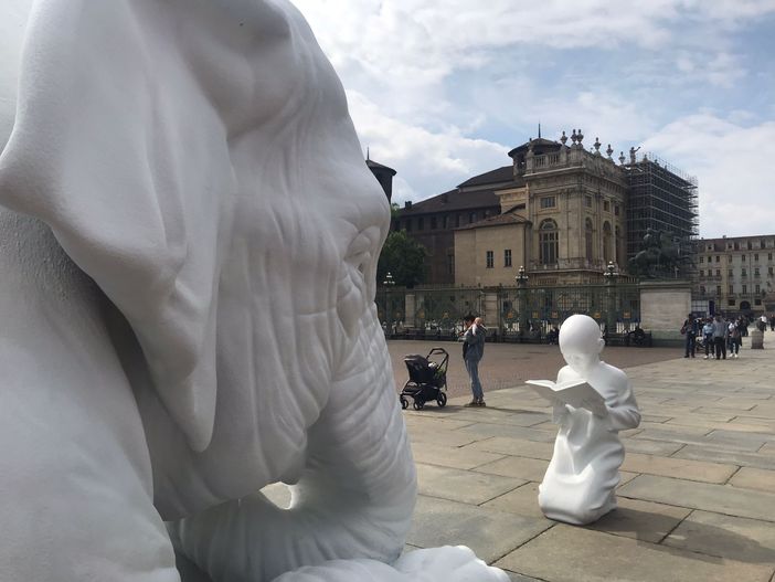 Ai Musei Reali, i primi &quot;animali di corte&quot; si fanno già notare da turisti e passanti