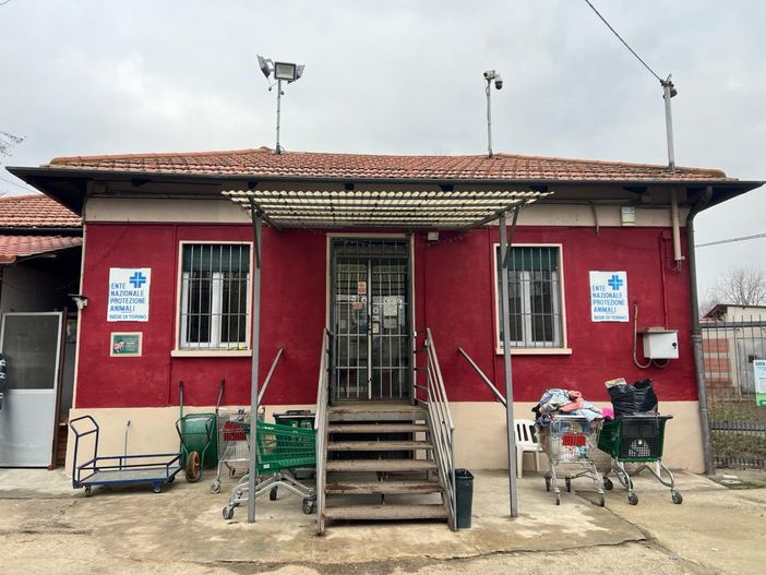 Canile di via Germagnano, l'Enpa rassicura: "Cani e gatti sono al caldo" Canile di via Germagnano, l'Enpa rassicura: "Cani e gatti sono al caldo"