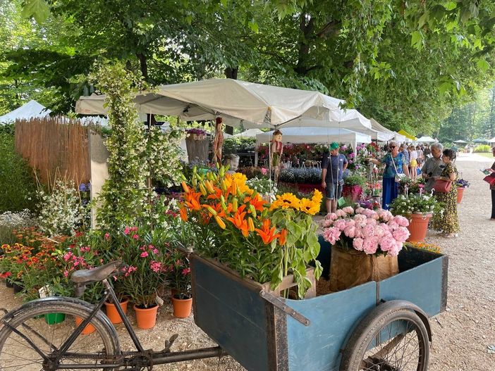 Flor a pagamento nei Giardini Reali, è polemica. Russi (M5S): "Gli anni scorsi era gratis" Flor a pagamento nei Giardini Reali, è polemica. Russi (M5S): "Gli anni scorsi era gratis"