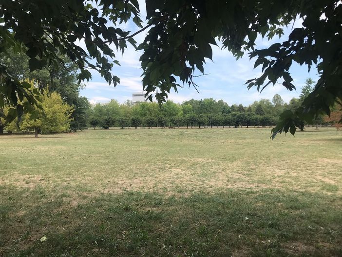 C’erano una volta i merenderos: griglie spente alla Pellerina, nei parchi relax e quiete a Ferragosto C’erano una volta i merenderos: griglie spente alla Pellerina, nei parchi relax e quiete a Ferragosto