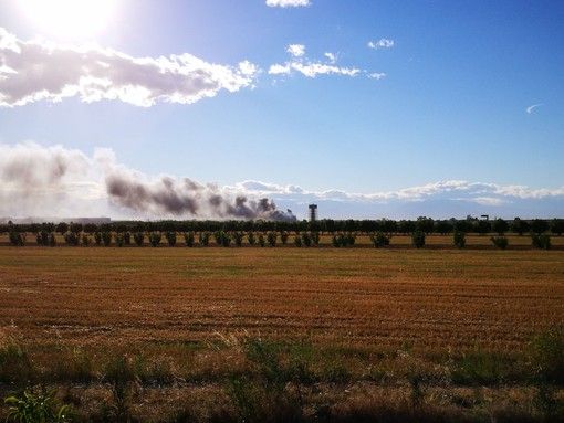 Il fumo degli incendi in Val Susa fa crescere la presenza di particolato nell'aria torinese Il fumo degli incendi in Val Susa fa crescere la presenza di particolato nell'aria torinese