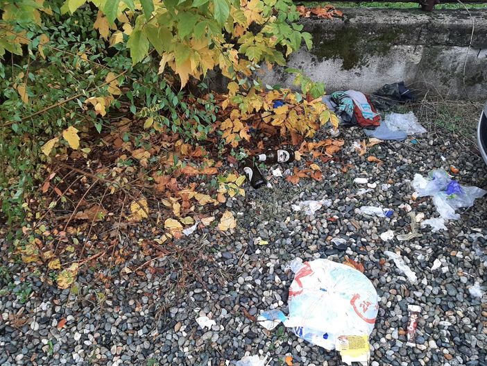 rifiuti e incuria in via cardinal massaia rifiuti e incuria in via cardinal massaia