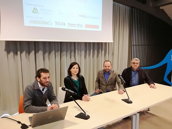 Il bosco? Fa paura solo nelle fiabe. In realtà può dare energia e tutela del territorio (VIDEO)