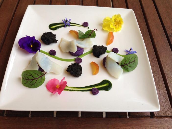 Mangiare i Fiori: serata speciale alle "Macine del Confluente" il 23 maggio, prenotazioni aperte Mangiare i Fiori: serata speciale alle "Macine del Confluente" il 23 maggio, prenotazioni aperte