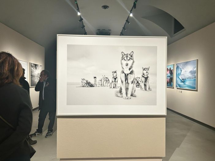 Da National Geographic alle Gallerie d’Italia: Cristina Mittermeier racconta la tutela ambientale Da National Geographic alle Gallerie d’Italia: Cristina Mittermeier racconta la tutela ambientale