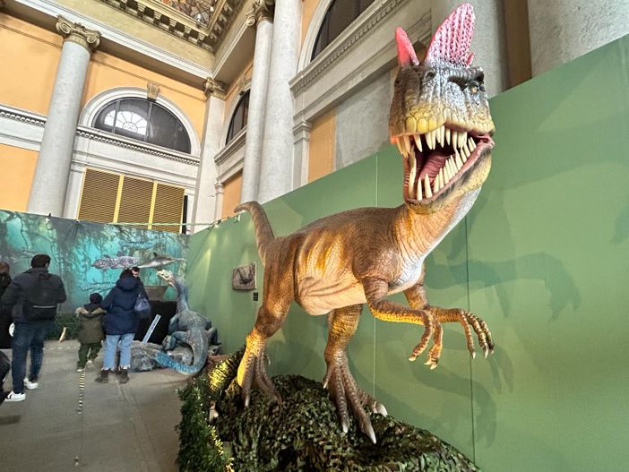 Dal Tirannosauro allo Spinosauro: a Porta Nuova sono tornati i Dinosauri Dal Tirannosauro allo Spinosauro: a Porta Nuova sono tornati i Dinosauri