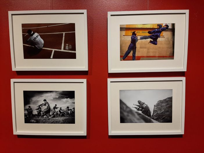 immagini mostra moncalieri