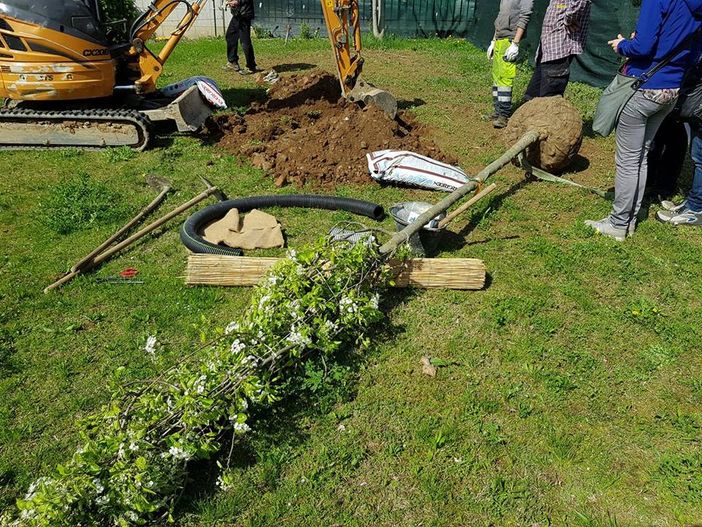 Ivrea, il progetto "Tree Hands" porta all'inaugurazione dei giardini di via Pertini