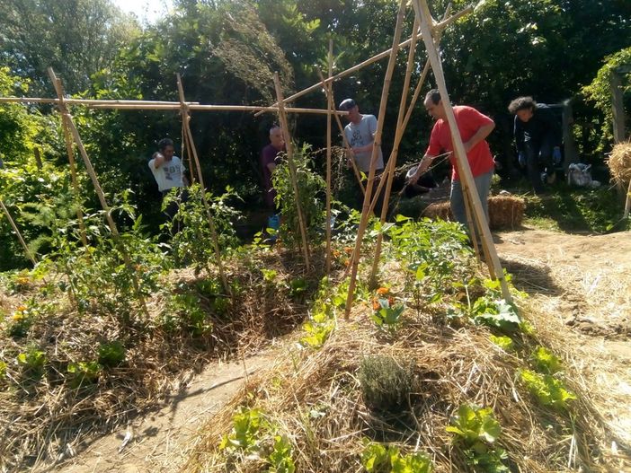 A Mirafiori l’orto sinergico coltivato da ex tossicodipendenti: "Riqualifichiamo la natura con l'inclusione sociale"