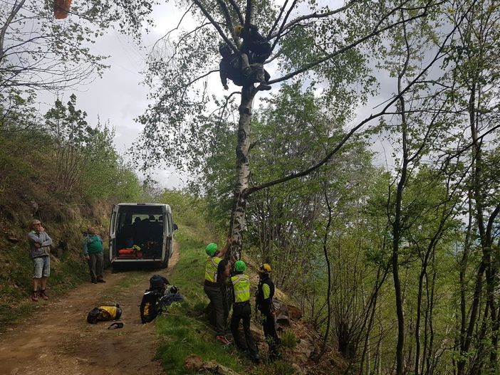 A Brosso gli uomini del Soccorso Alpino salvano un parapendista rimasto appeso ad un albero