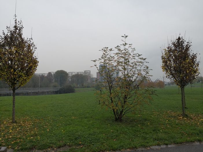 Al via domani indagini per trovare buche nascoste al Parco Dora: ingresso pedonale vietato nell'area ex Ingest