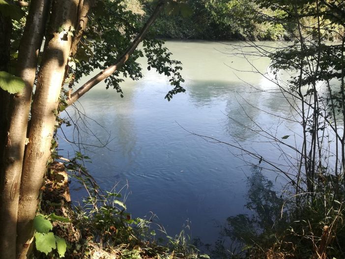 La Regione assegna 2 milioni di euro di contributi ai consorzi di bonifica La Regione assegna 2 milioni di euro di contributi ai consorzi di bonifica