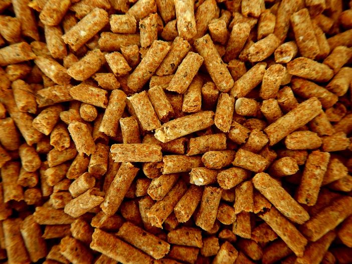 Stufe a pellet: cosa c'è da sapere Stufe a pellet: cosa c'è da sapere