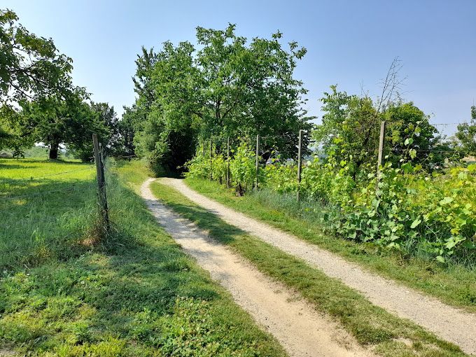percorso cicloturistico