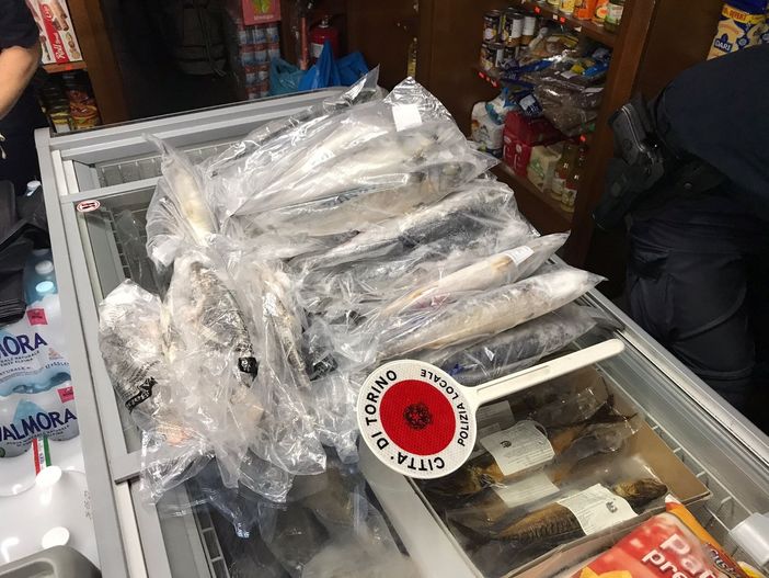 pesce mal conservato pesce mal conservato