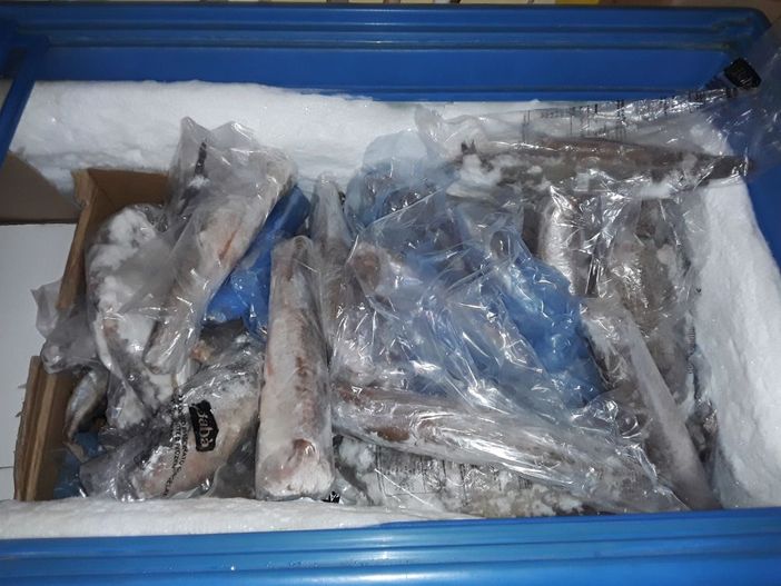 Barriera di Milano, sequestrati 100 chili di surgelati mal conservati