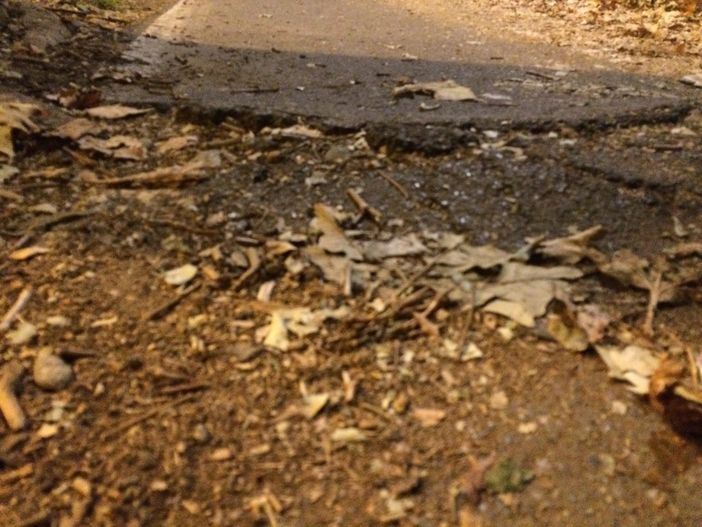 Ciclisti costretti a peripezie alla Indiana Jones (fotogallery)