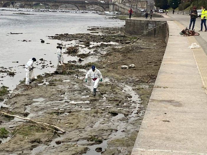 po in secca rifiuti po in secca rifiuti