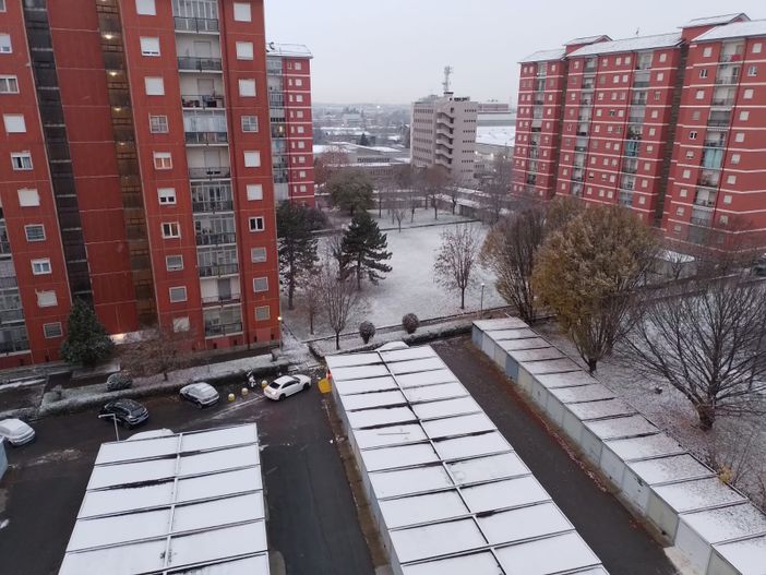 neve neve