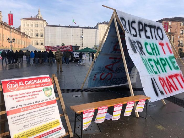 protesta no ai cinghiali protesta no ai cinghiali