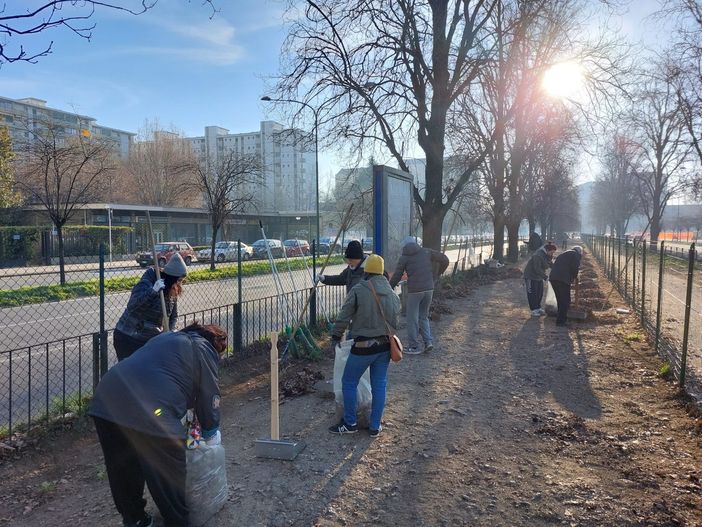 I volontari puliscono l'area cani di corso Cosenza I volontari puliscono l'area cani di corso Cosenza