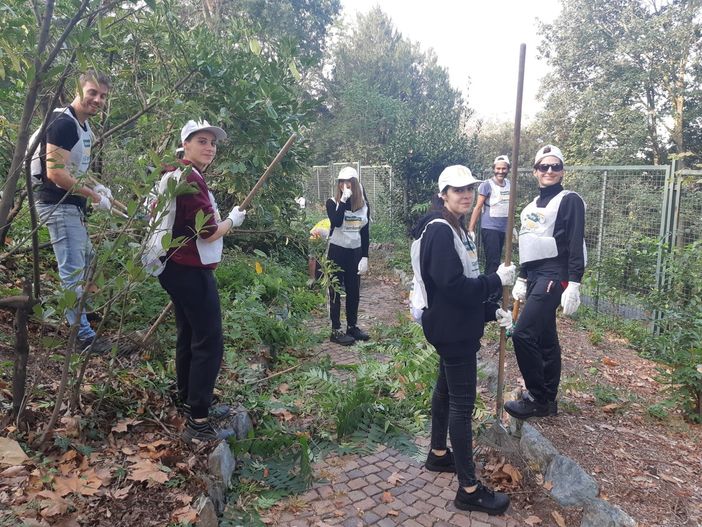 pulizia villa genero