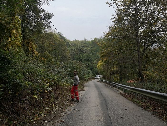 La Circoscrizione 7 “pulisce” la collina: completati diversi interventi (FOTO) La Circoscrizione 7 “pulisce” la collina: completati diversi interventi (FOTO)