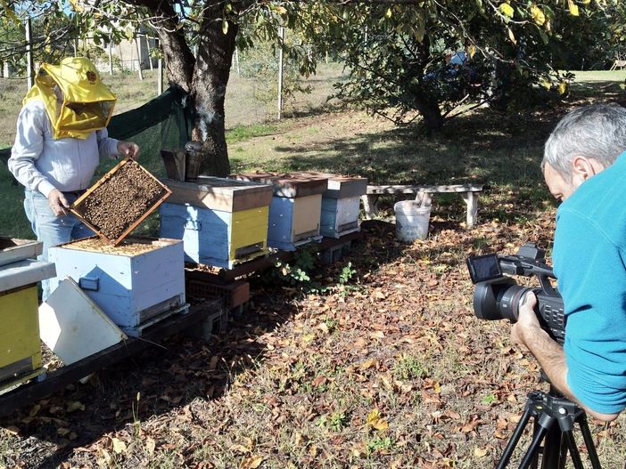 A spasso per Romano, la bellezza del Canavese si racconta per immagini A spasso per Romano, la bellezza del Canavese si racconta per immagini