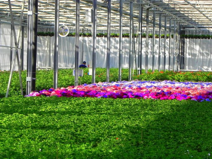 Torino, rinnovato il contratto di lavoro degli operai agricoli e florovivaisti