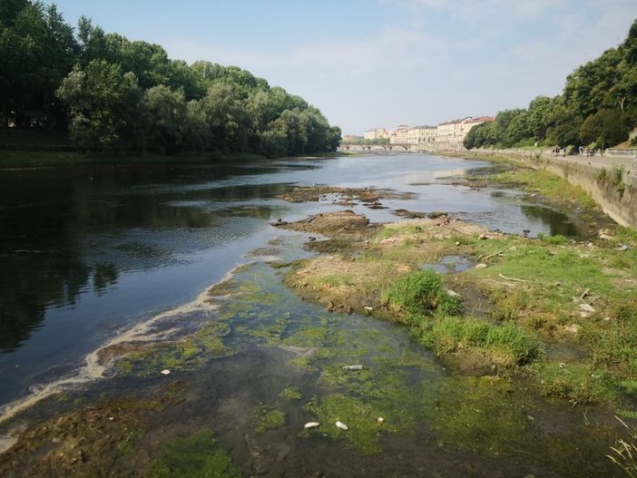 Siccità, a Torino non è ancora allarme. Lo Russo: &quot;Speriamo di non dover introdurre restrizioni&quot;
