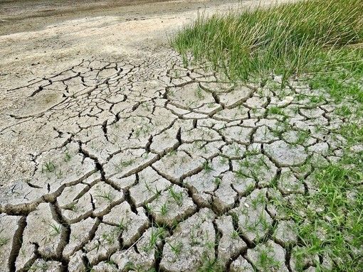 Coldiretti: "I cambiamenti climatici mettono a rischio produzione e occupazione"