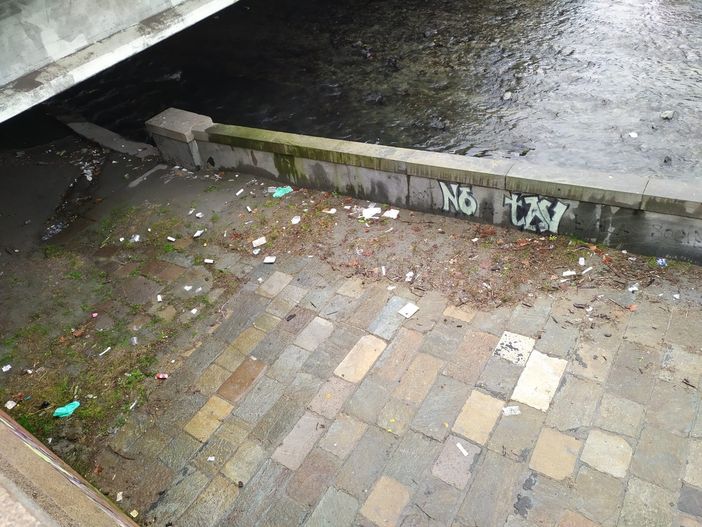siringhe sotto il ponte di corso regio parco