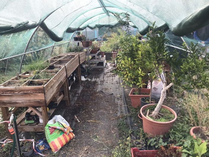 sopralluogo area verde di via sospello