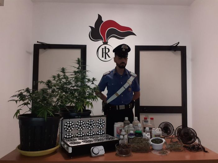 Castiglione Torinese, nella "stanza segreta" c'era la serra per la marijuana: arrestato 49enne [VIDEO]