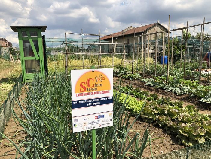 orto urbano inaugurato a Collegno orto urbano inaugurato a Collegno