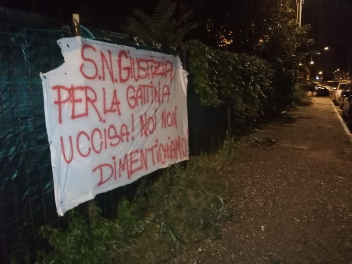 Blitz degli animalisti: &quot;Giustizia per la gattina uccisa. Noi non dimentichiamo&quot;