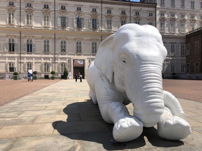 I Musei Reali capofila del progetto &quot;Synopsis&quot;, per creare la nuova figura professionale del &quot;narratore culturale&quot;