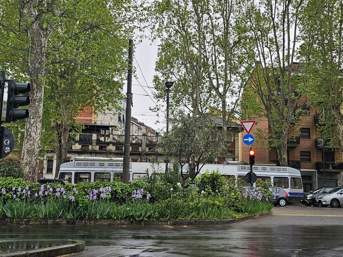 Tram che passa davanti ad aiuole con erba alta Tram che passa davanti ad aiuole con erba alta